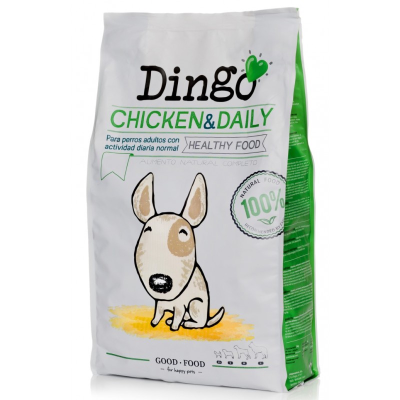 Dingo Chicken Daily 800x800h