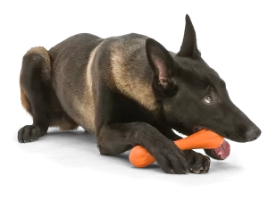 HURLEY TANGERINE DOG CHEWING