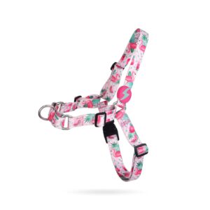 Flamingo Harness