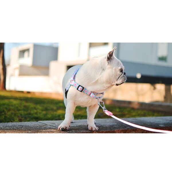 Coral Front Harness Small1 Img